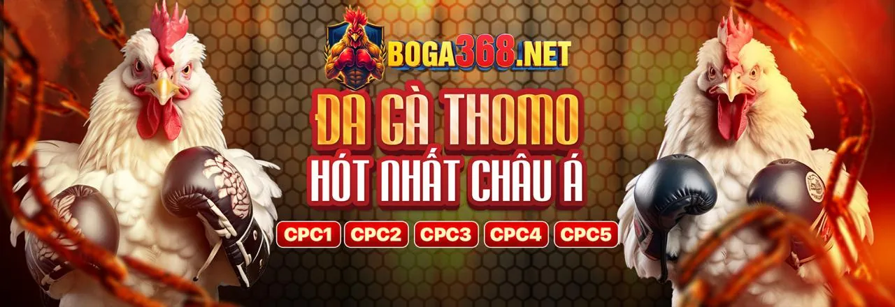 CLB88 Login Casino Trực Tuyến
